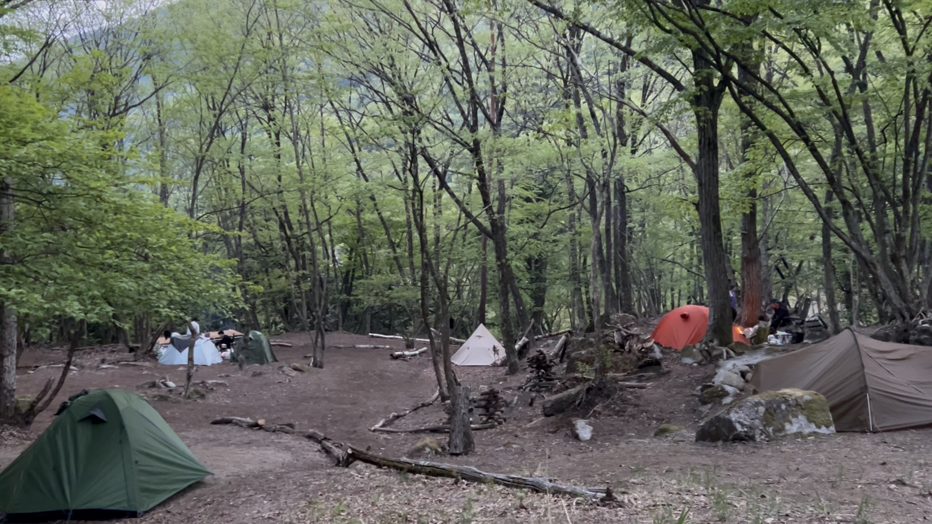 SUPERWILD RC and Camp Fieldのサイト風景