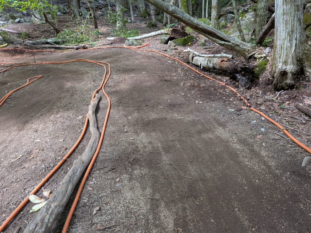 フォレストコースターサーキット