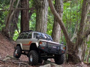 木の根セクションをよじ登るRCクローラー｜SWRC
